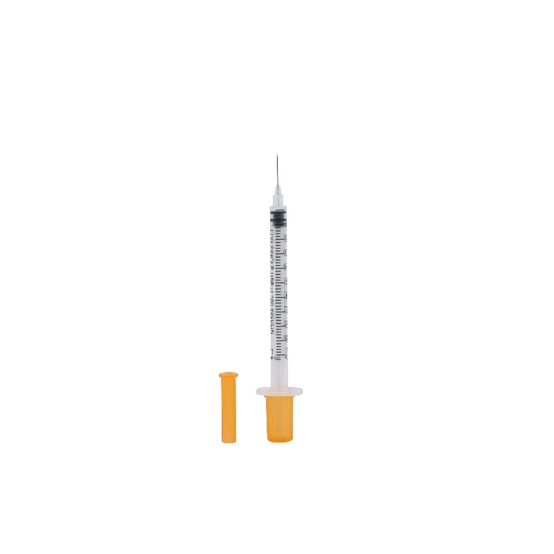Insulin Syringe Detail 2