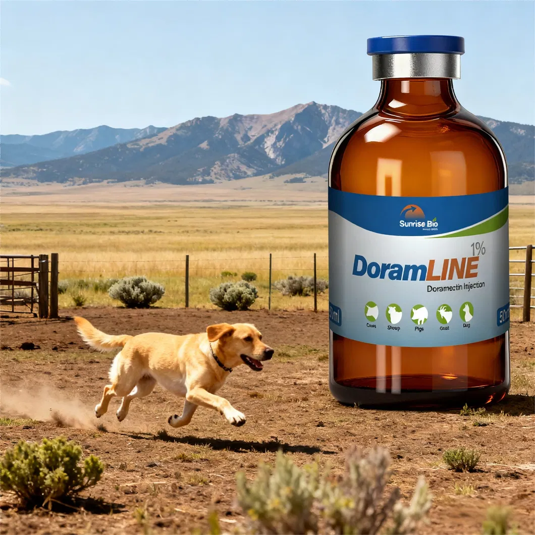 Doramectin Injection 2