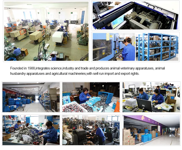 Cargo Production