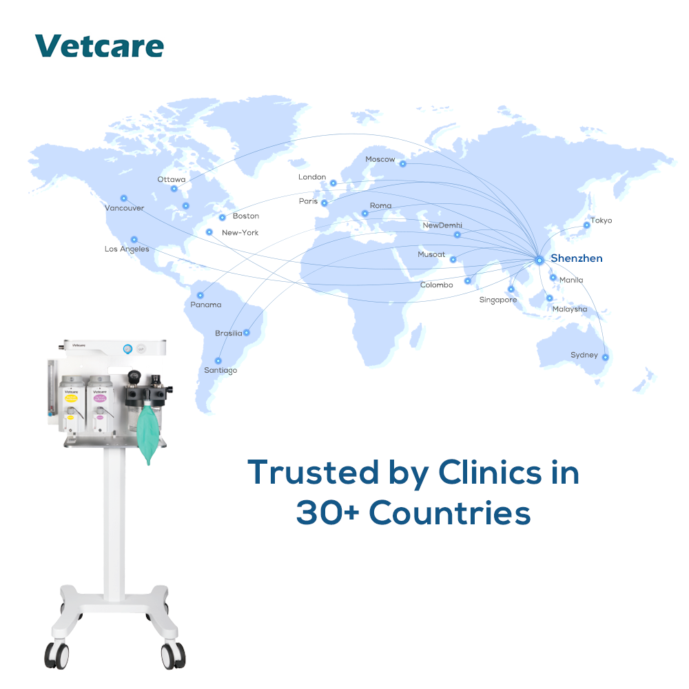 MRI Compatible Veterinary Anesthesia Animal Anesthesia Equipment Vet Anesthesia Machine