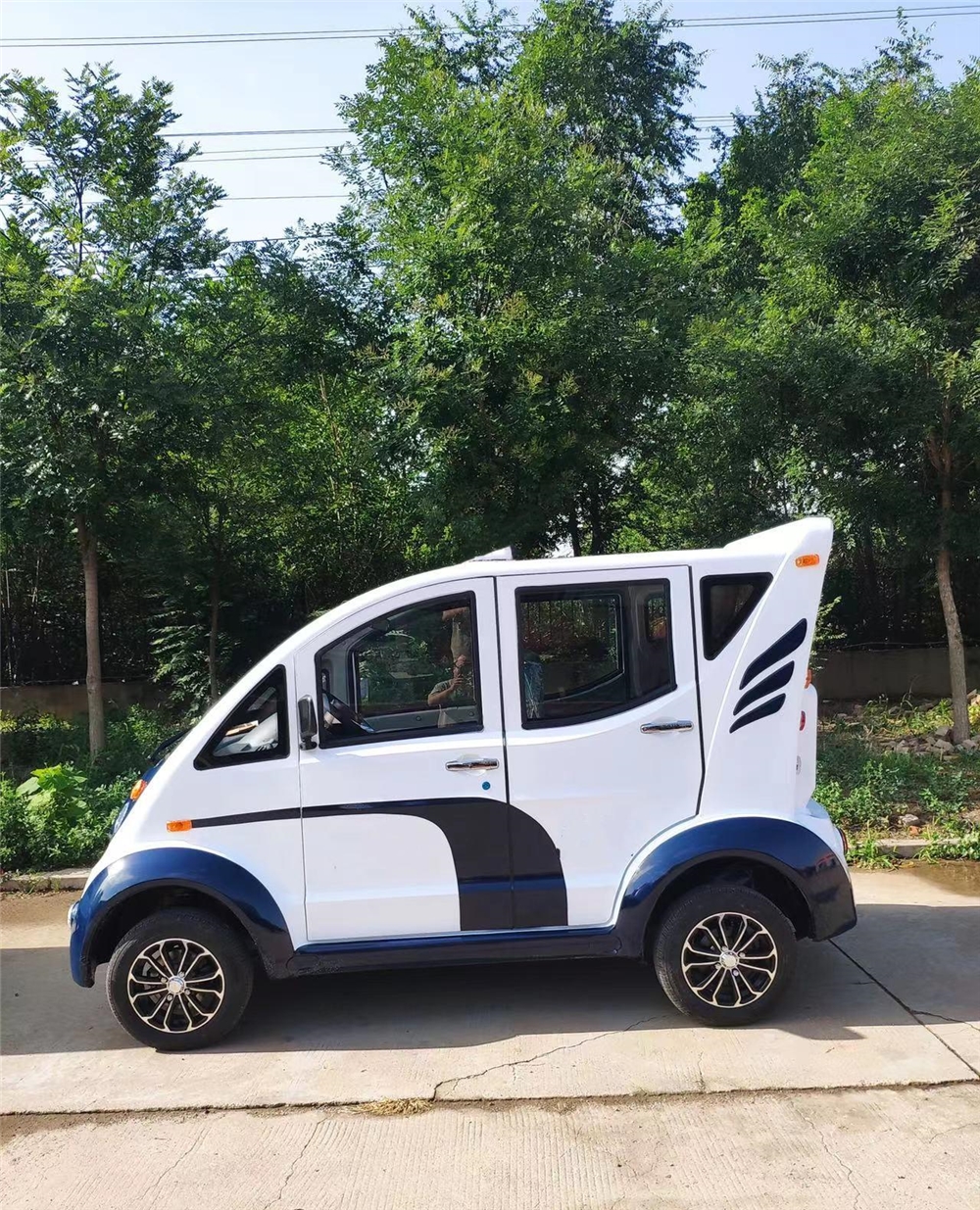 WELIFTRICH 4x4 6 Seater Electric Golf Cart Battery Cruiser Patrol Car with Doors Air Conditioner 72V