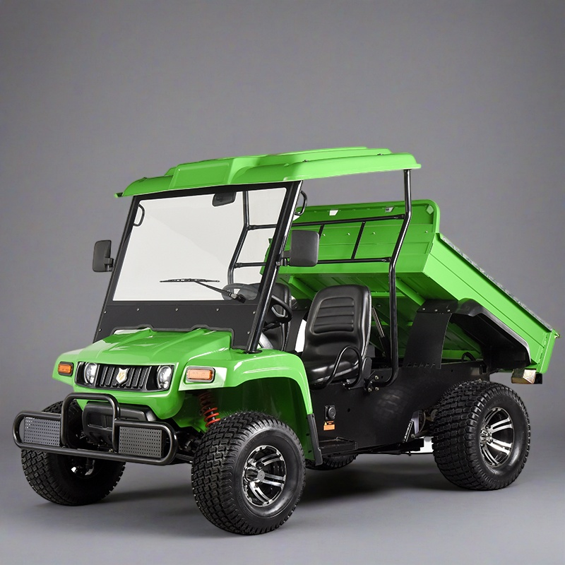 Deposit 48V 5kw Electric UTV Utility Vehicle for Farm