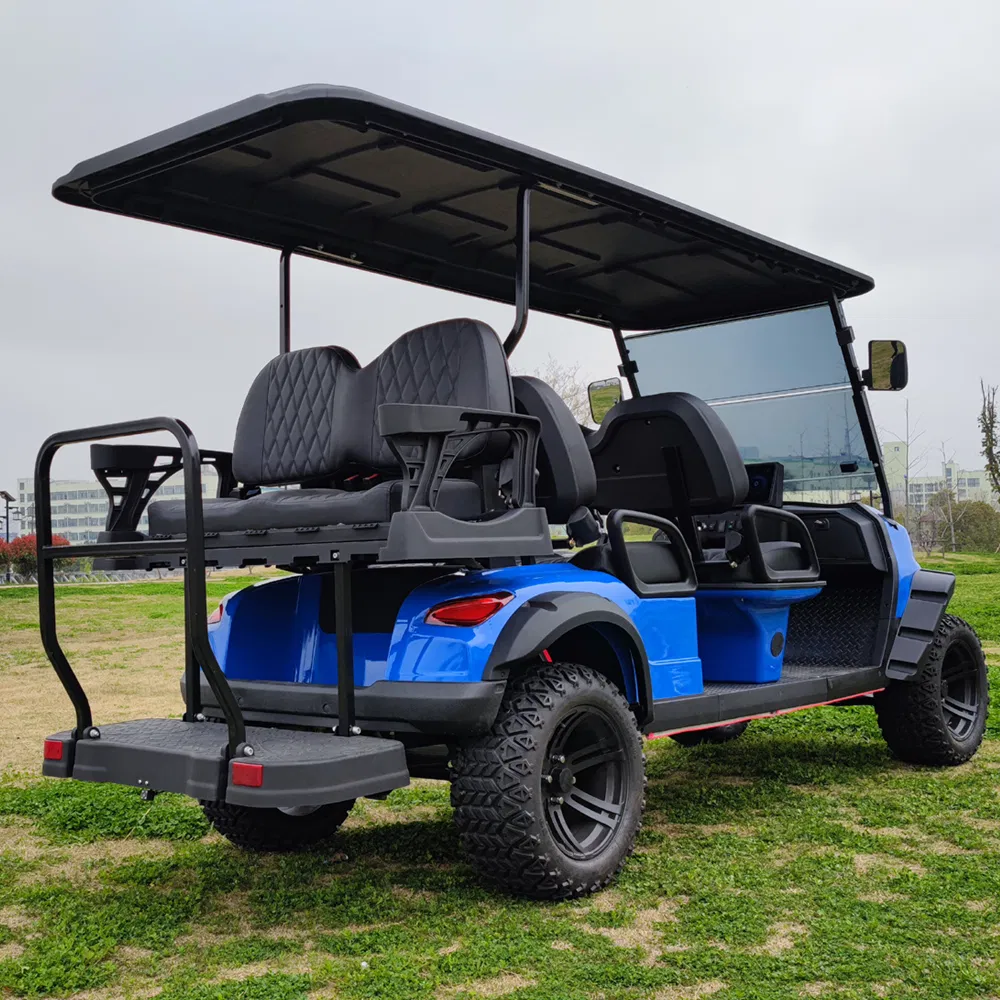 Luxurious Golf Cart Interior Detail