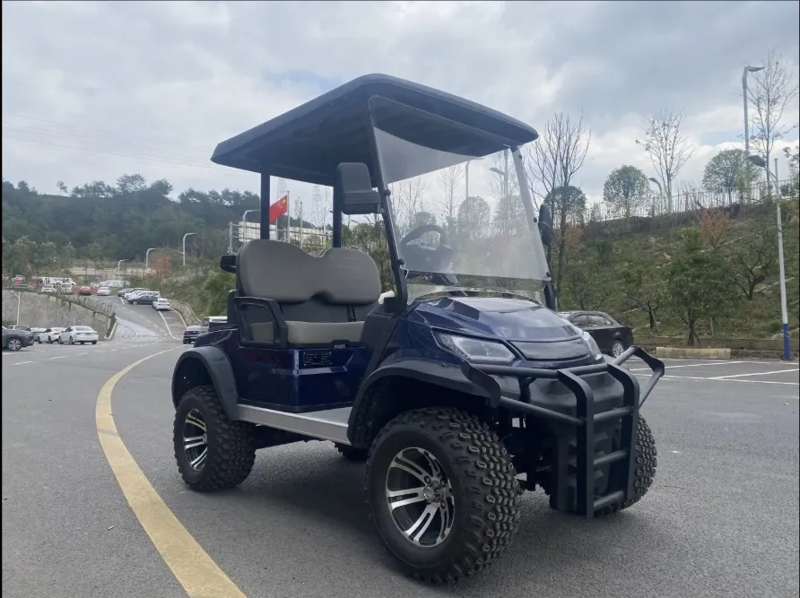 Luxury 6-Seater Electric Car Design Electric Golf Cart with CE Certified