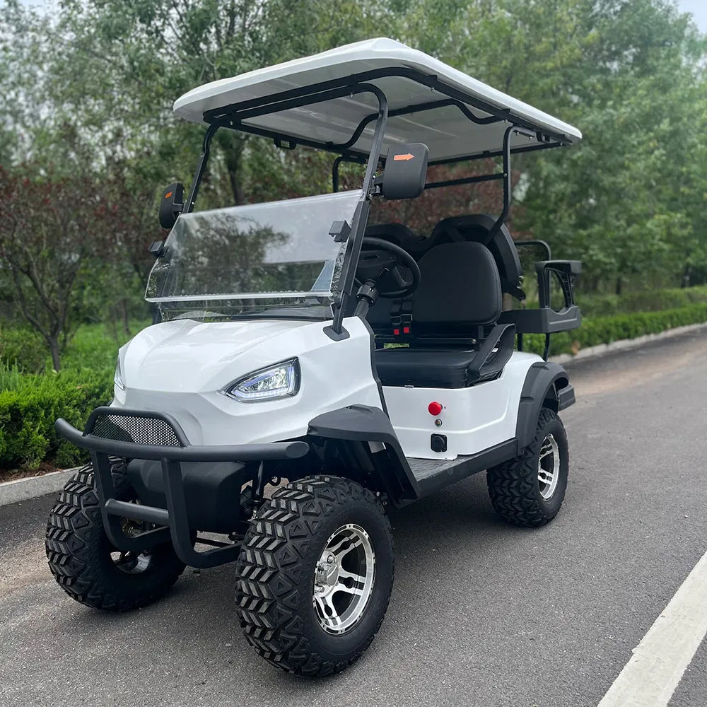 Professional 2-4 Passenger 4 Wheels Electric Golf Carts