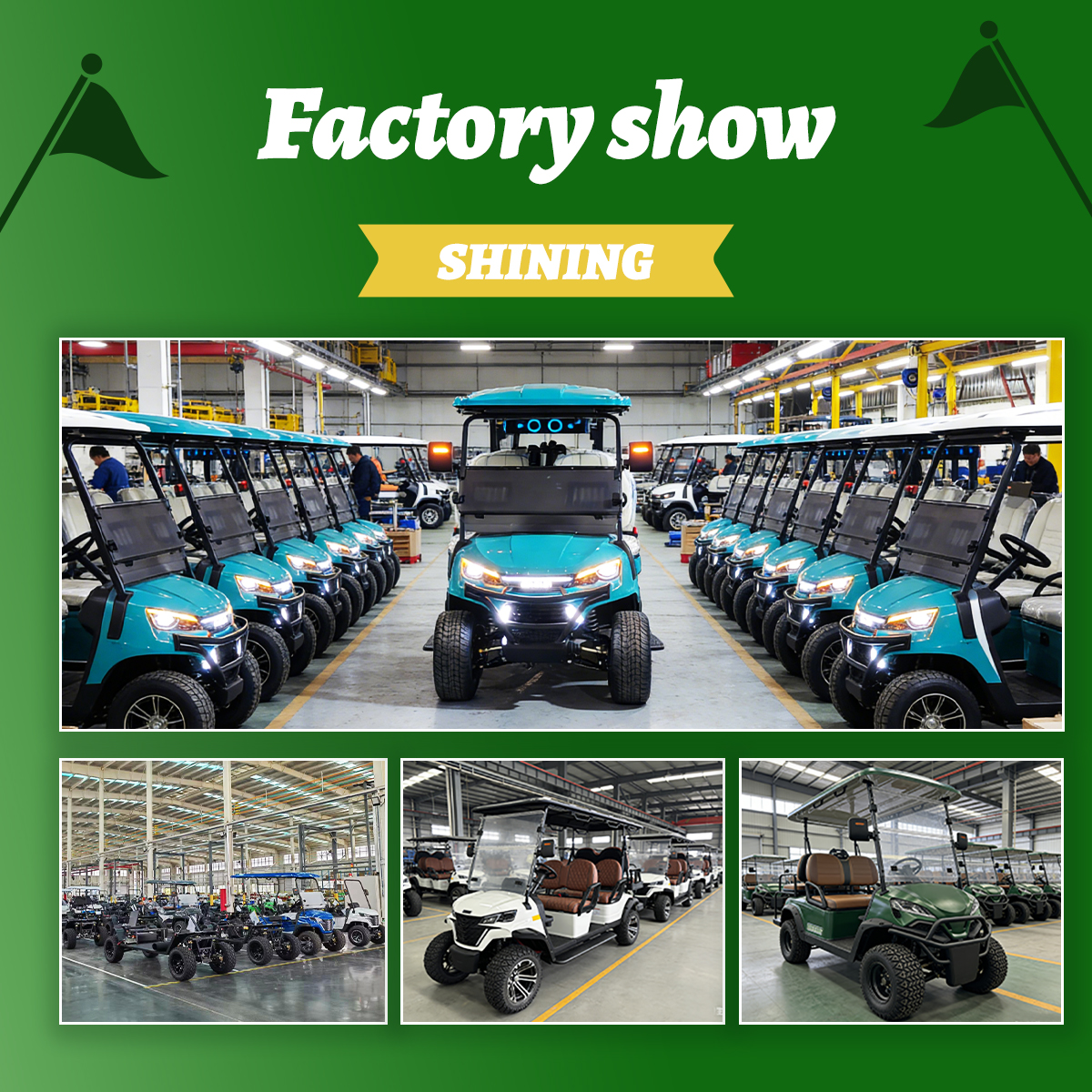 Shining 6 Seat 72v Lithium Battery Eec Approved Street Legal Golf Carts