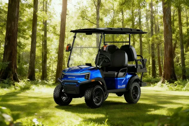Custom Golf Cart Detail 1