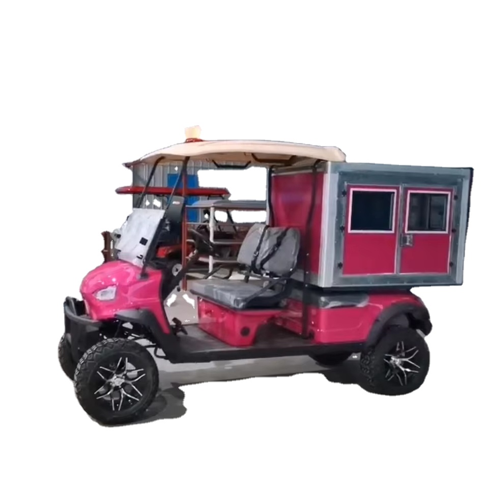 New Arrivals Parison Golf Cart 2 Seats Electric Motor Sightseeing Resort Hotel Outdoor Golf Golf Carts 2025SDZX12PTPR176
