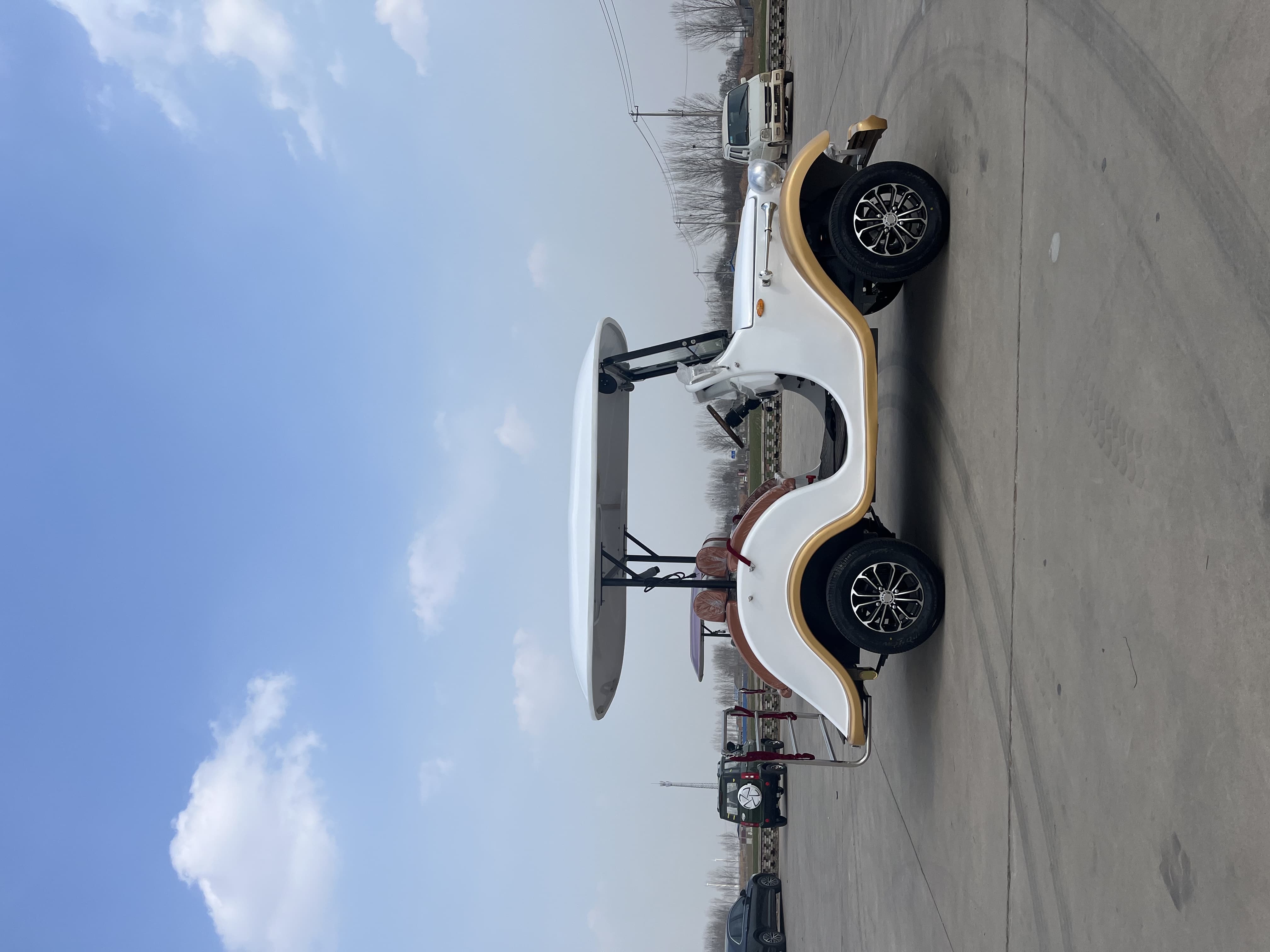 Sharefer 4 Seats 2+2 Seater Car off Road Tire 48V Electric Sightseeing Car Club Good Quality Electric Golf Cart Popular Style