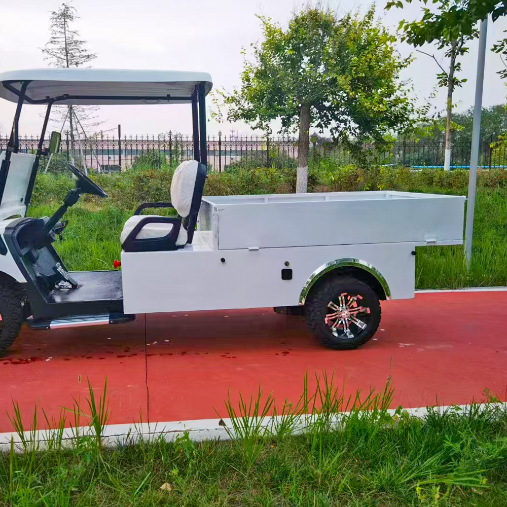 SEEWORLD Electric Golf Cart Cargo Box 2 Seater 3.5KW AC Motor 60V 100A Lead Acid Battery 30-50km/h Speed 70-90km Range CE