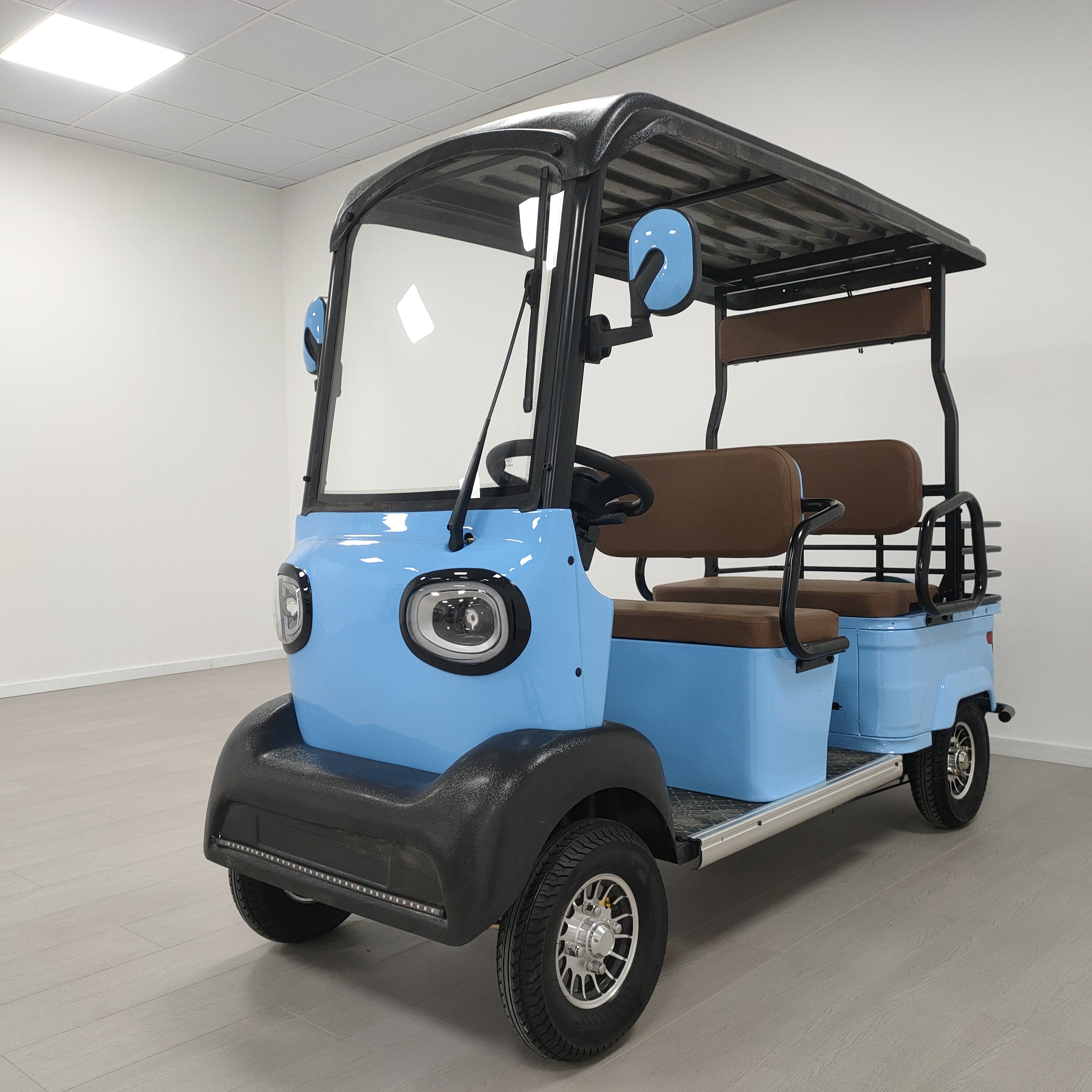 Electric Golf Cart Detail 2