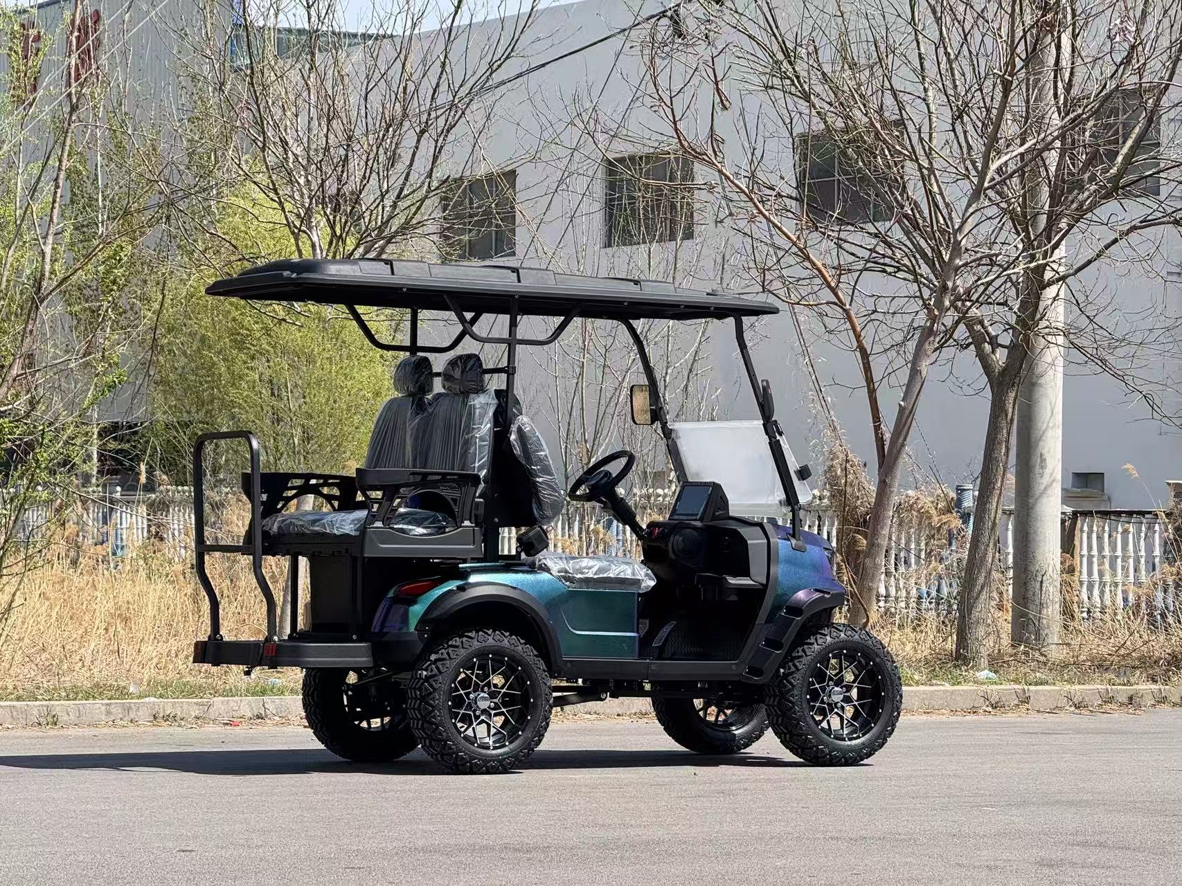 Customized Golf Cart with Standing Position Golf Lithium Battery Chinese Off-road Golf Carts