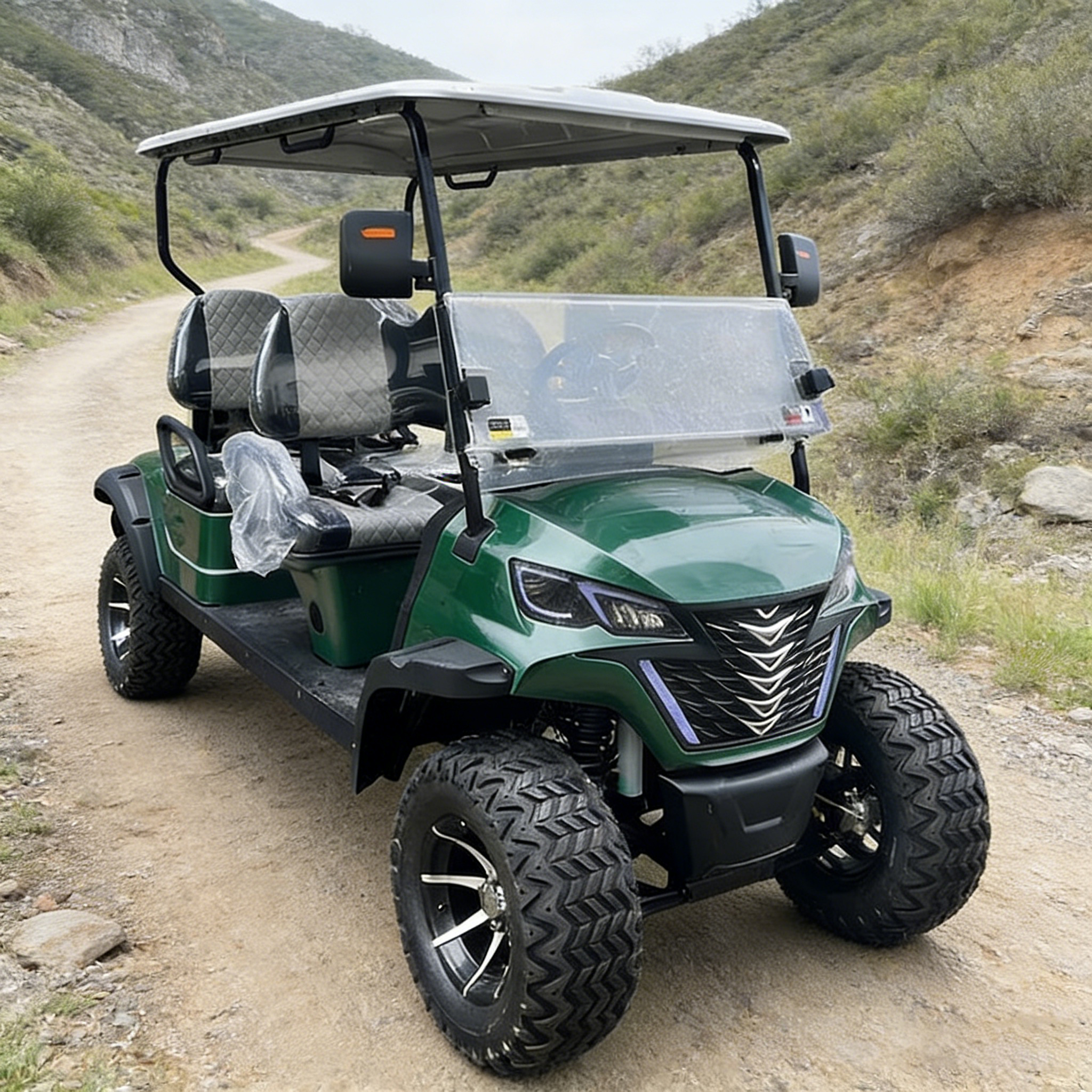 WOLAN 4 Seater Intelligent Electronic Control Electric Lifted Golf Cart for Sightseeing Bus Car Use