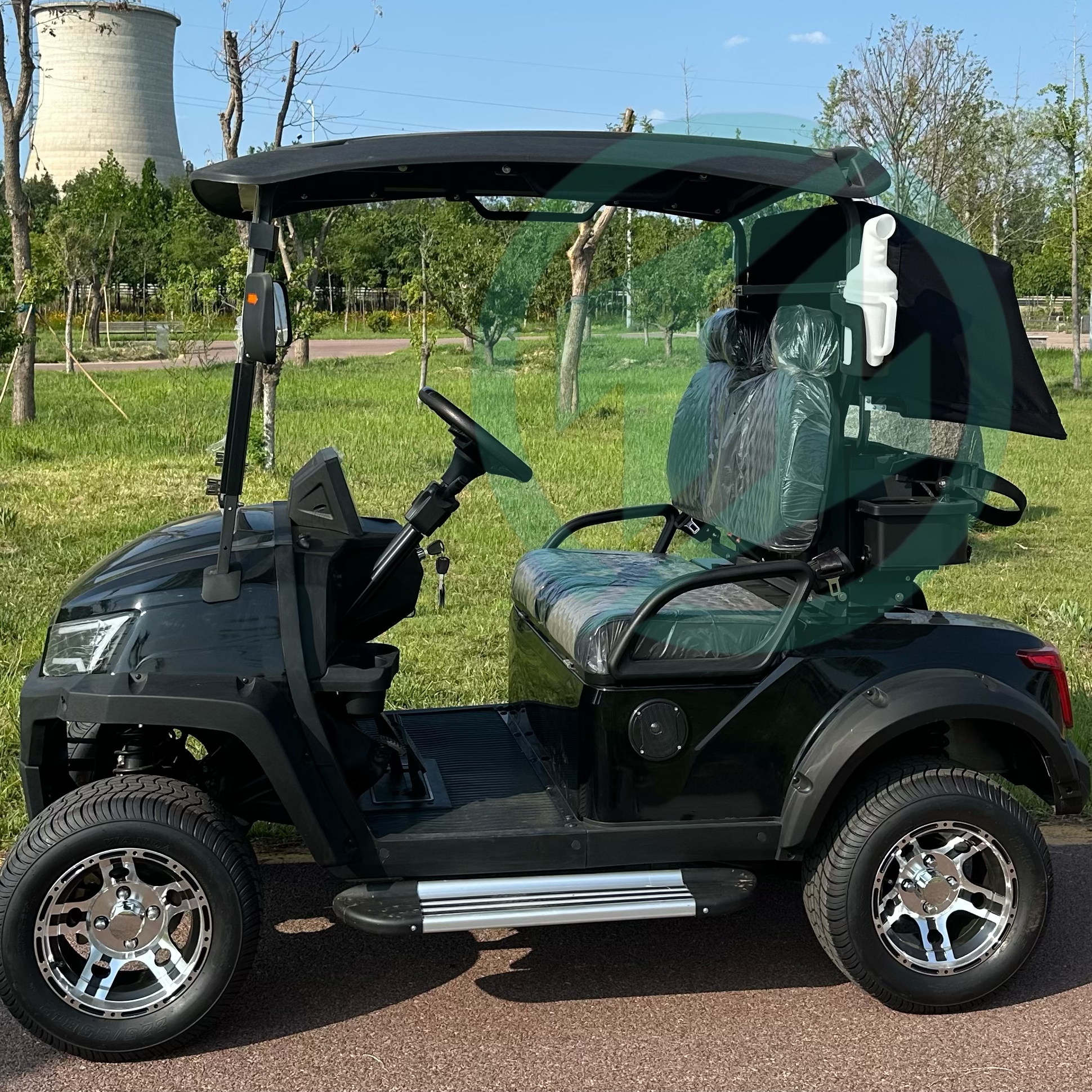 New Design 2 Seat Electric Golf Carts Electric with Lithium Battery China for Campus Use