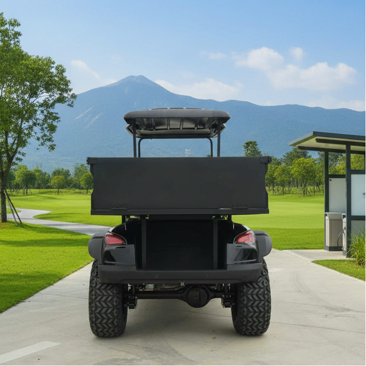 Premium Quality Electric Truck UTV 2-Seater Golf Cart with Cargo Box Automatic Dumper 500KG Load Capacity Electric Cargo Truck