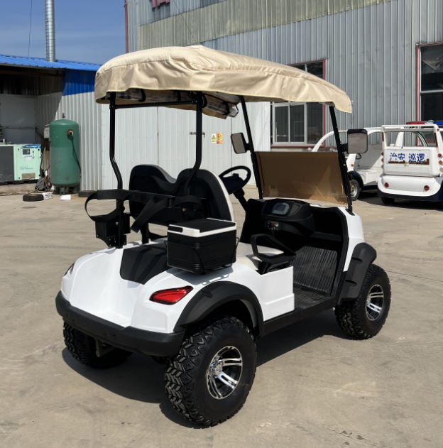 High - Quality Upgraded 2 - Seater Golf Cart: Ideal for Golf Courses and Large Park Lawn Mobility, with Customizable Exterior
