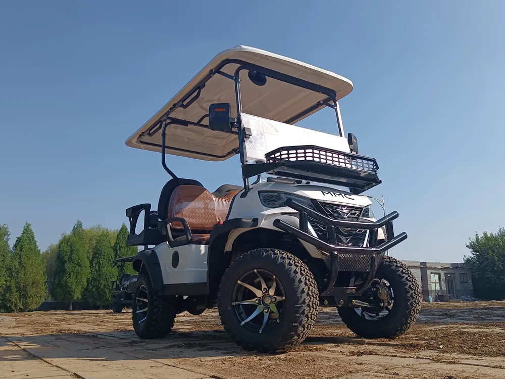 Electric Golf Cart View 1