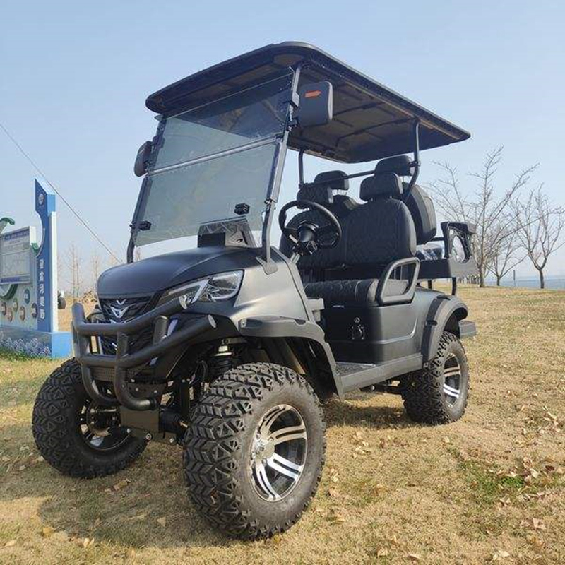 2025 Premium Electric 6-Seater Golf Cart with 50-70km Range for Family and Friends