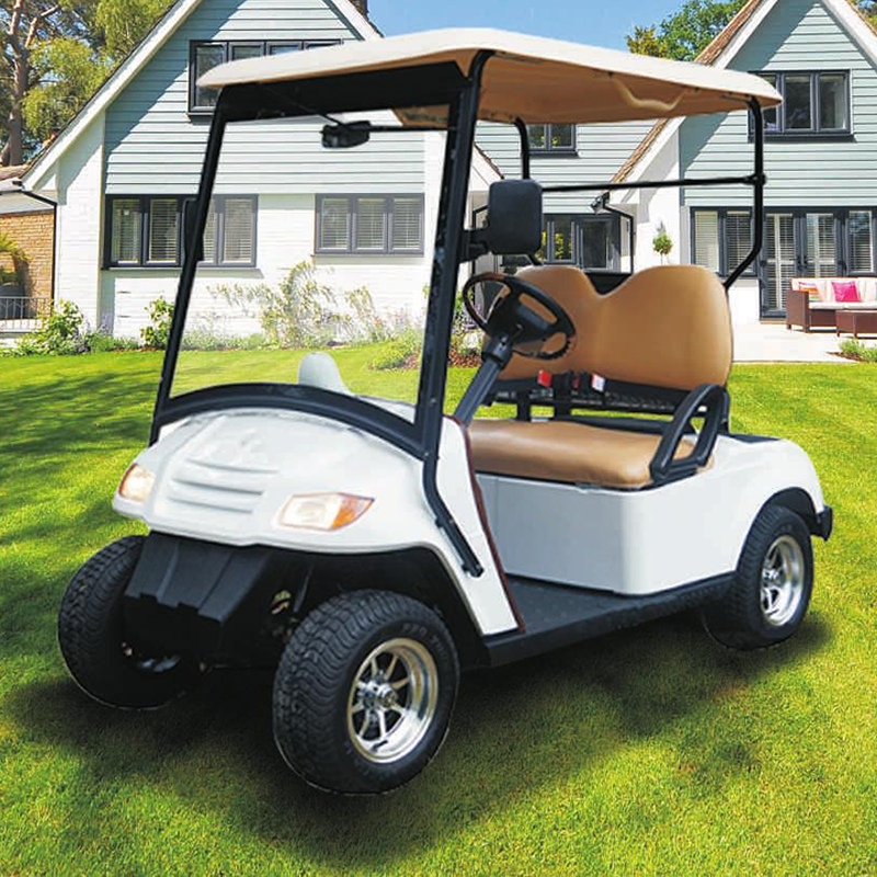 Eagle Luxury Chinese Ev Lithium Hunting off Road Golf Carts Mini 2 Seater Seat Electric Golf Cart