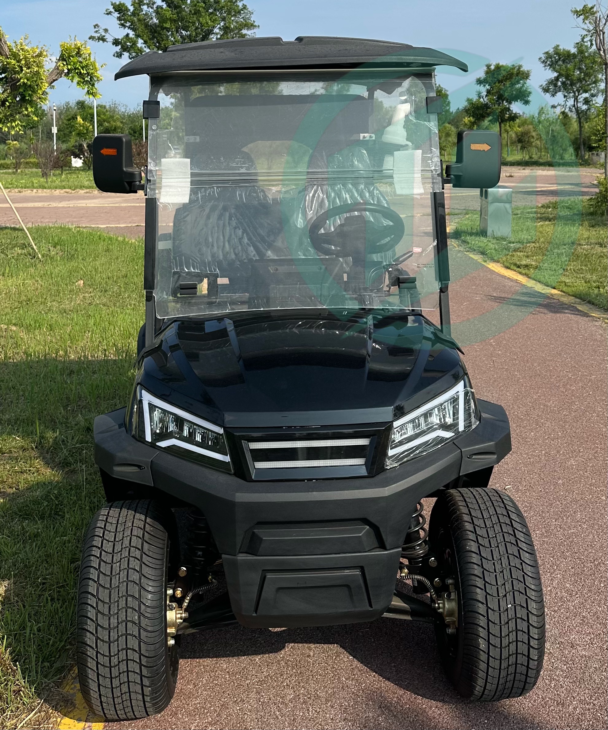 New Design 2 Seat Electric Golf Carts Electric with Lithium Battery China for Campus Use