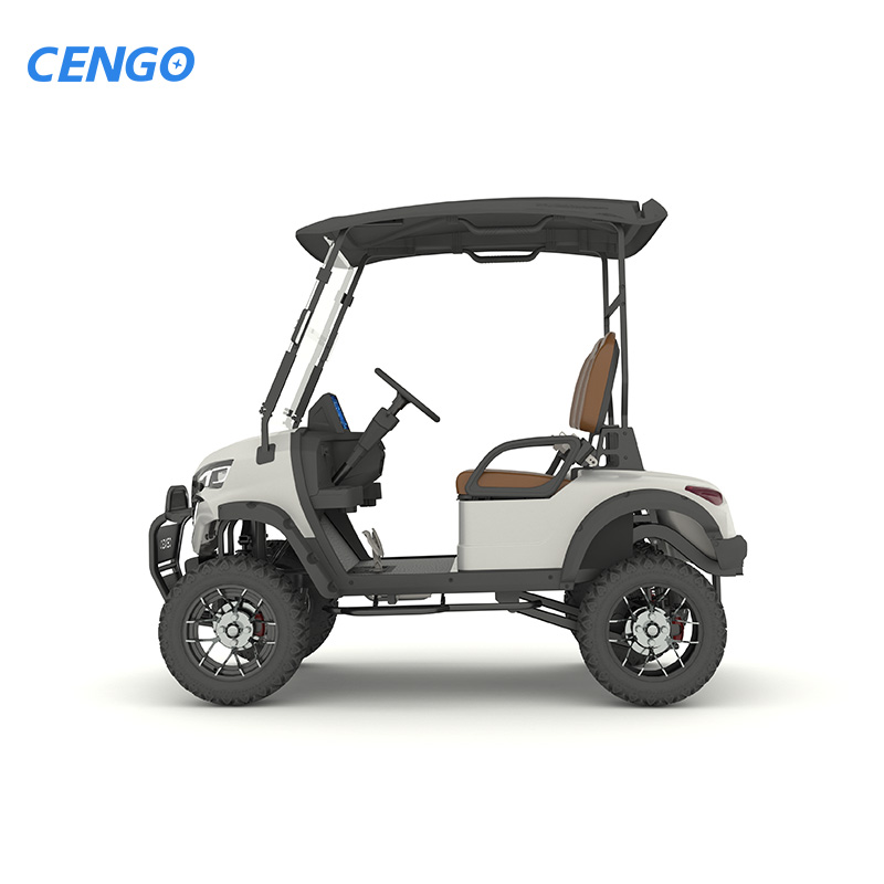 Customizable 2-seat Passenger Electric Golf Cart with a Range of 95 Kilometers, 48V Electric Golf Hunting Car