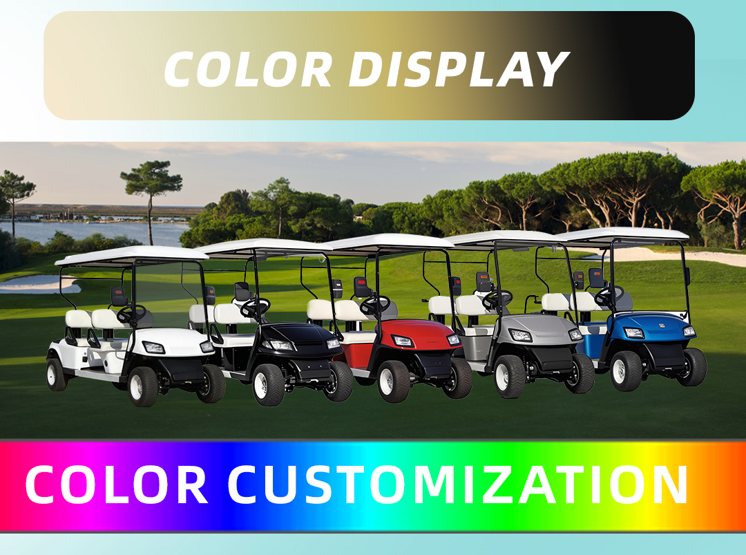 Golf Cart Detail 8