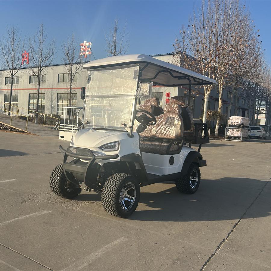 New Design Vehicle Off-road Comfortable Sightseeing Golf Cart Hunting Golf Cart 4 Seater Golf Cart Electric