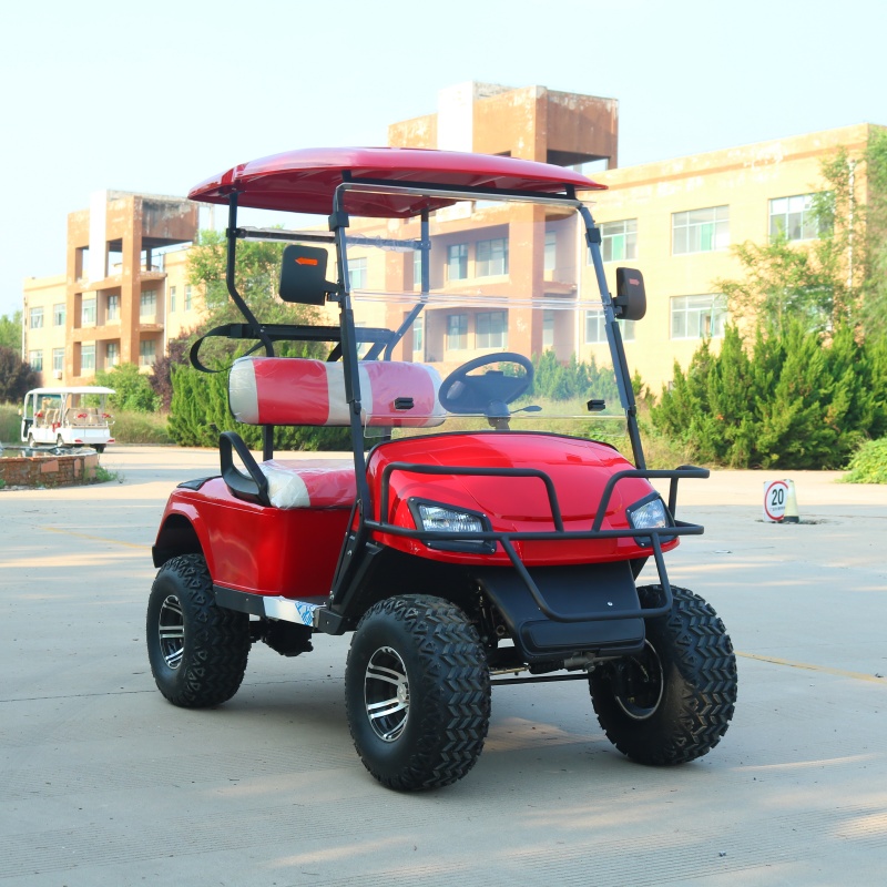 New Classic 2-Seater Electric Sightseeing Golf Cart 48v Lithium Battery 2 Passenger Golf Cart