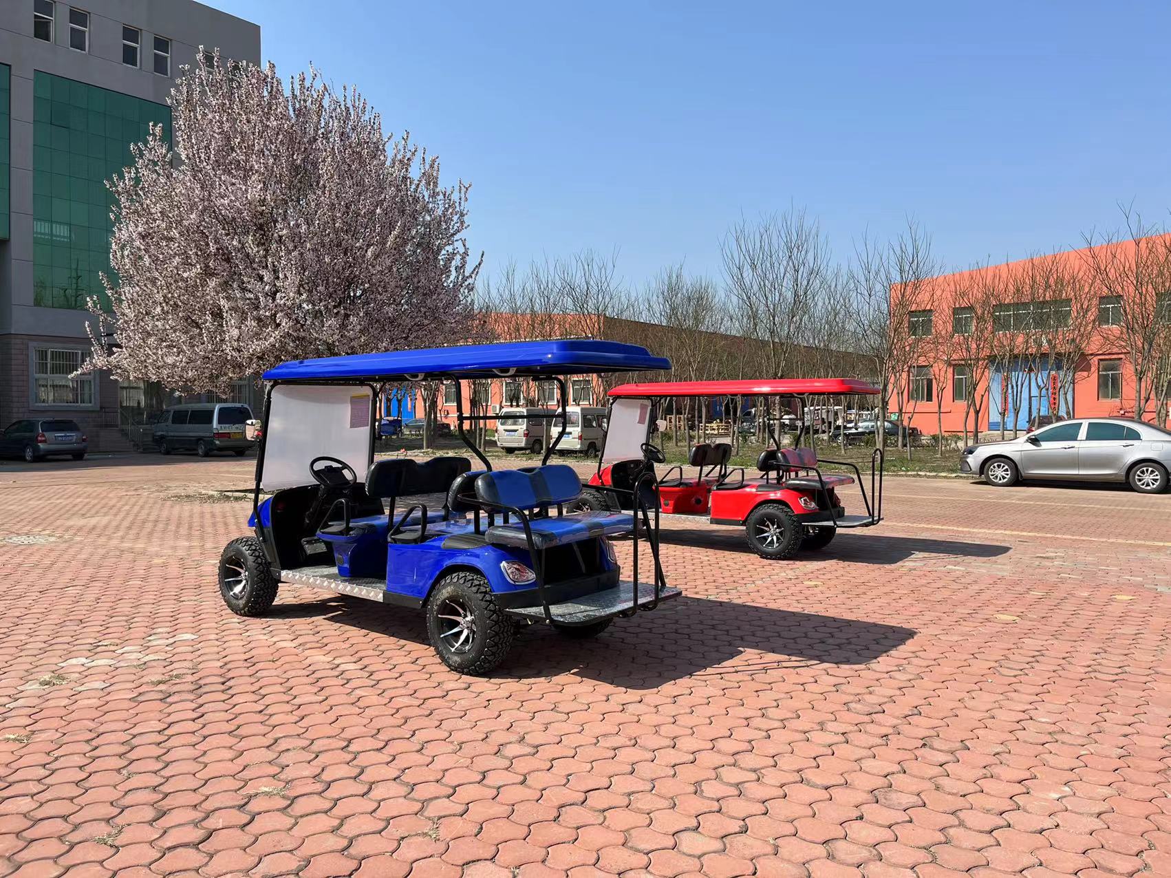 4+2 Seats ELECTRIC GOLF CARTS 6 Seaters 6 Passenger Electric Golf Cart 4 Wheel Drive Golf Cart