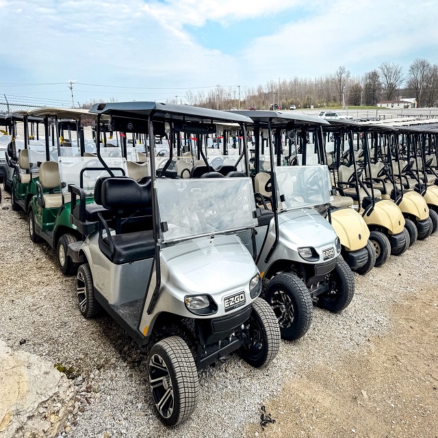 Golf Cart Detail 6