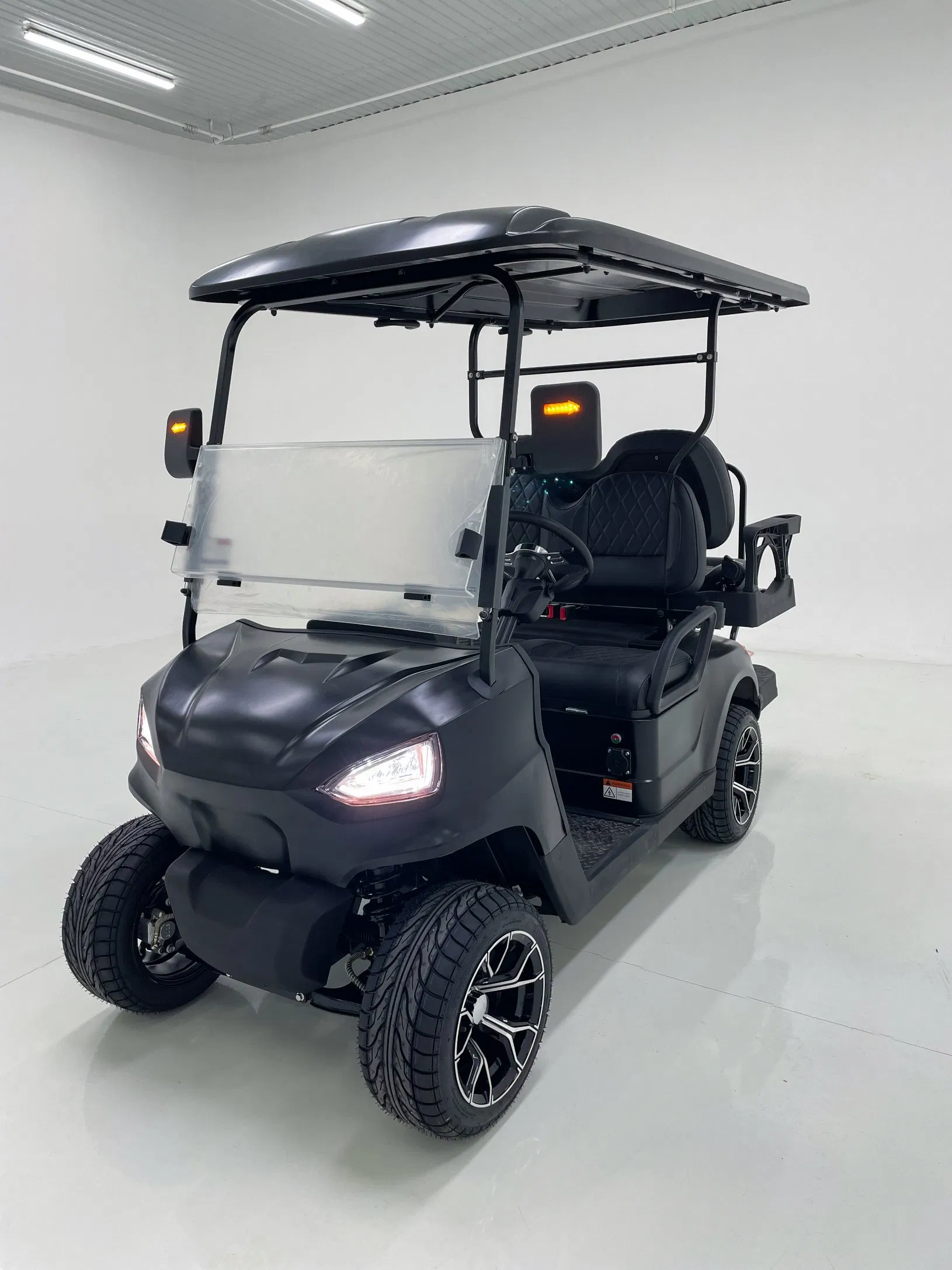 Stylish Look Anti - Roll Bars Electric Golf Cart for Camping Access