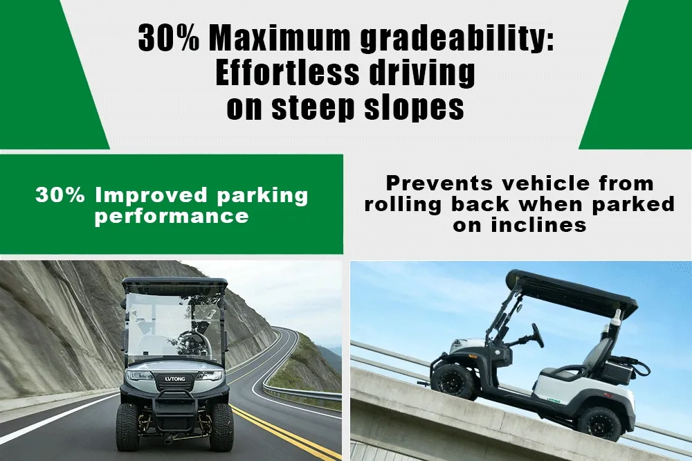 Electric Golf Cart Details 6