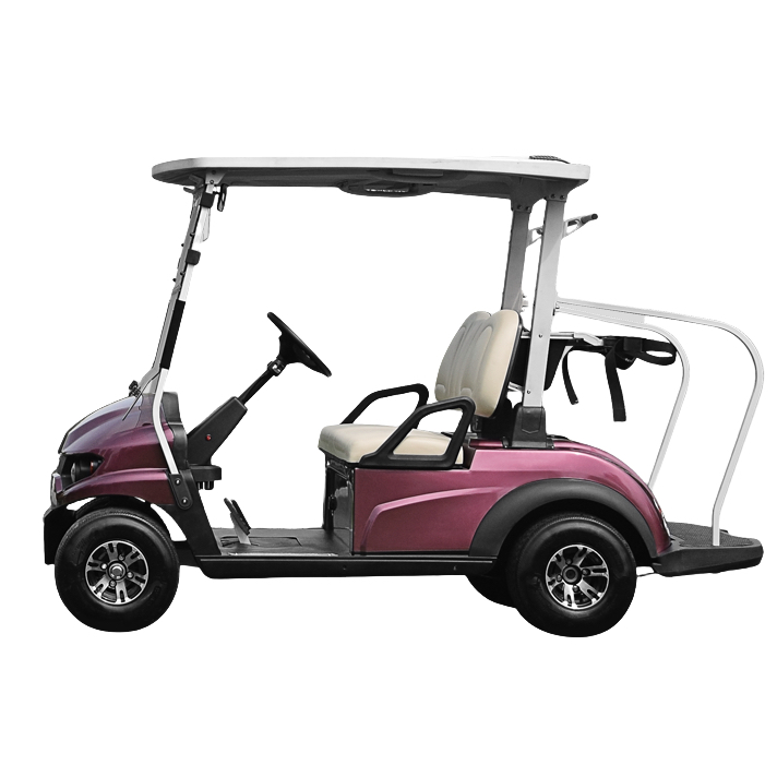 Wholesale Price 2 Seater Electric Golf Cart for Hotel Airport Use Lithium Battery Golf Buggy Free Maintenance Golf Cart on Sale
