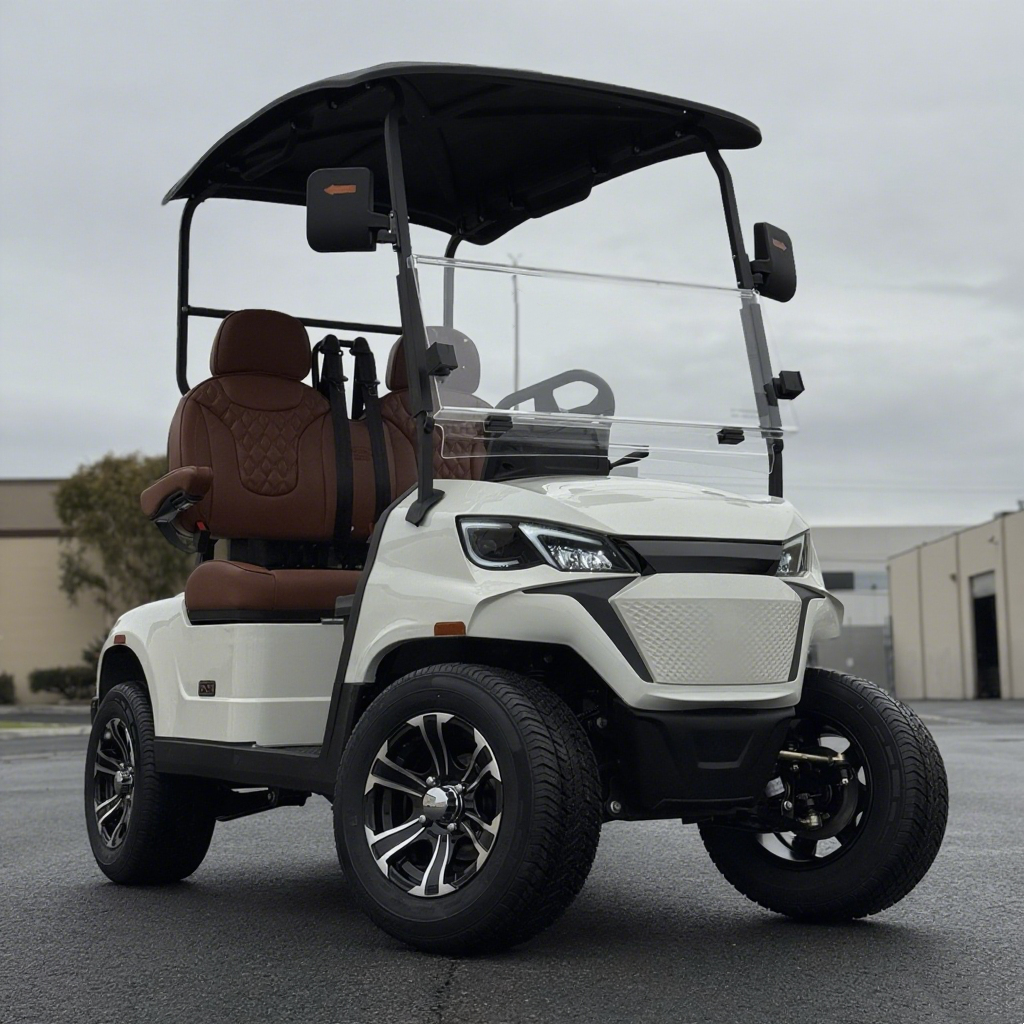 OEM ODM 2 Seat Electric Golf Cart for Fleet Purchase and International Export