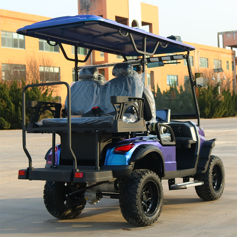 Direct Factory's Electric Golf Cart Customized Street Legal with Best Quality Custom Golf Cart