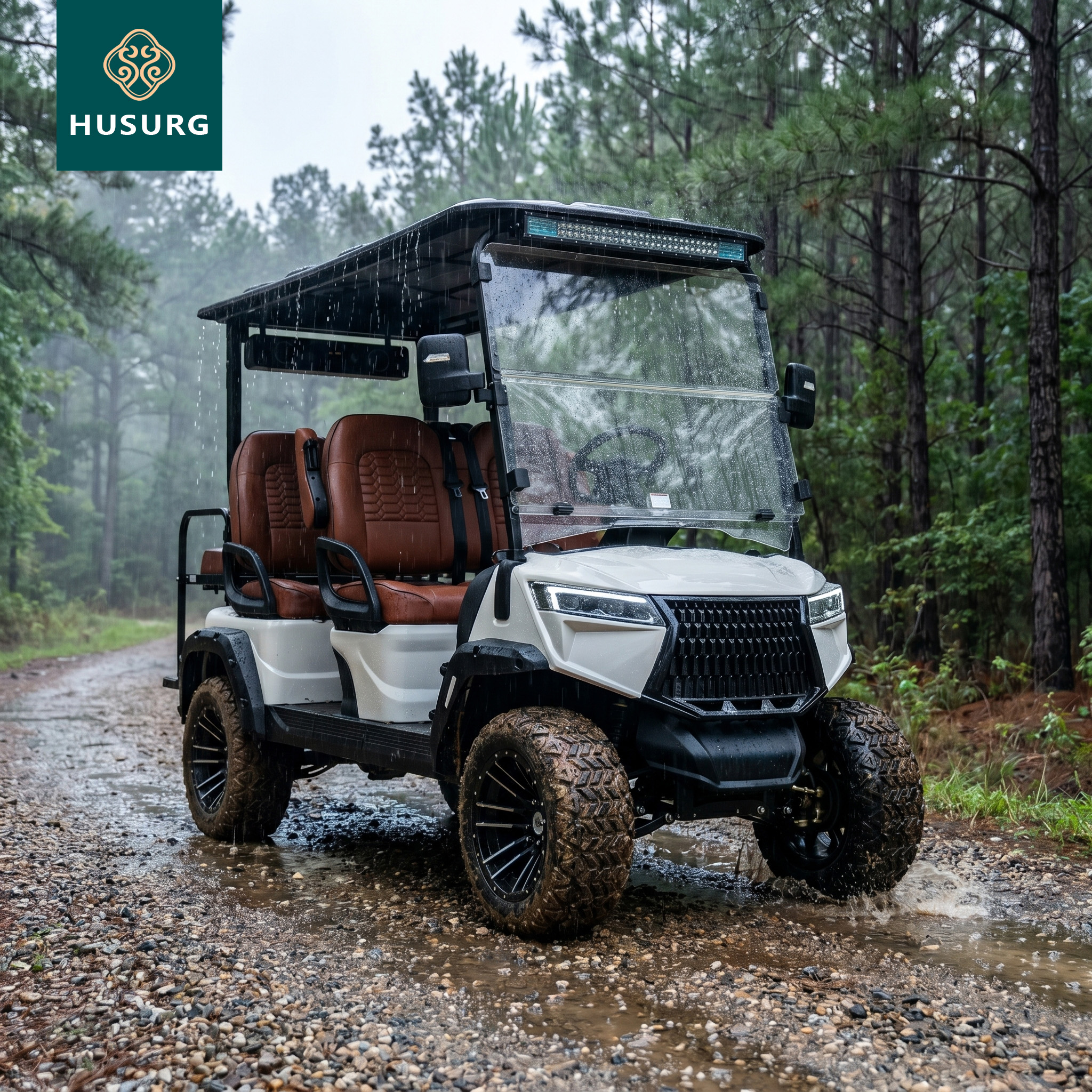 Electric Golf Cart Smart 4 Seater Intelligent Control System Advanced Model Technology Driven Modern Versatile