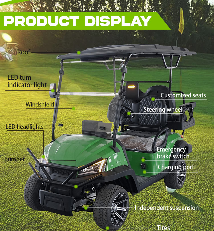 Electric Golf Cart Details 7
