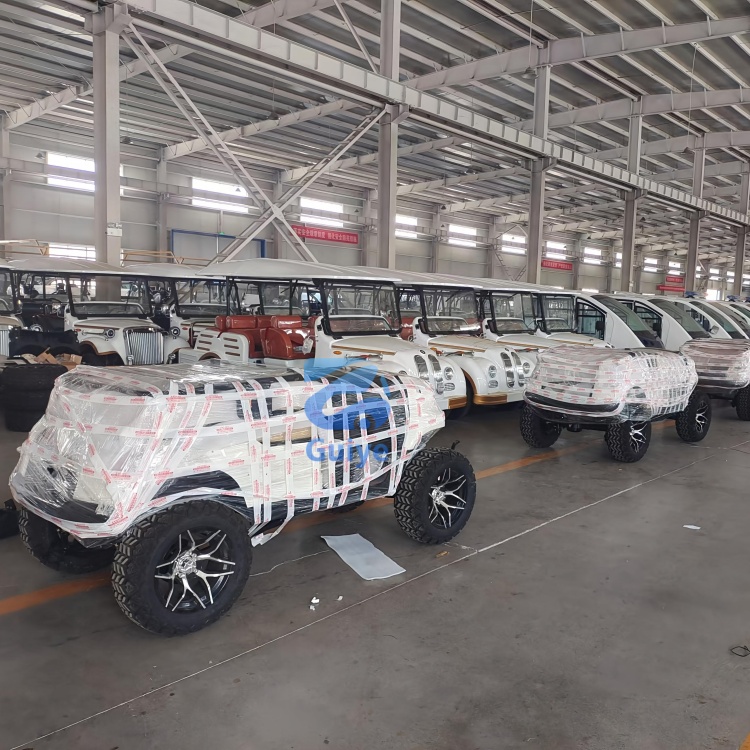 Premium Custom Electric Off-Road Golf Cart Customized Professional Design Mini Electric Golf Cart for Outdoor Golf Play