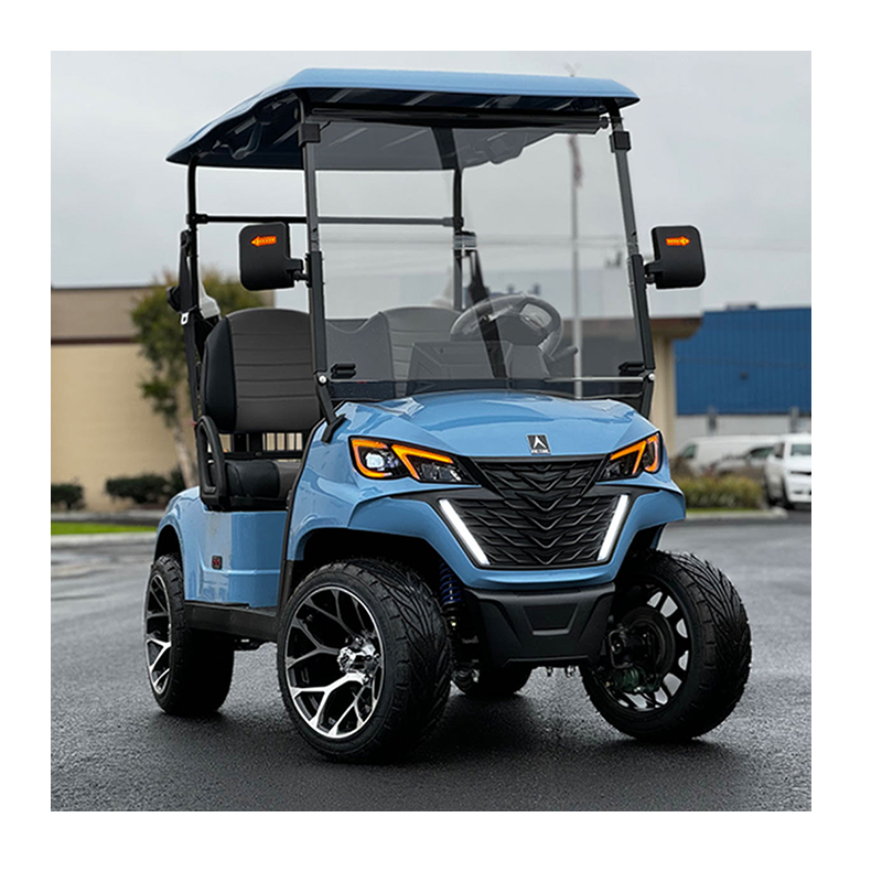 Eagle Luxury Chinese Ev Lithium Hunting off Road Golf Carts Mini 2 Seater Seat Electric Golf Cart