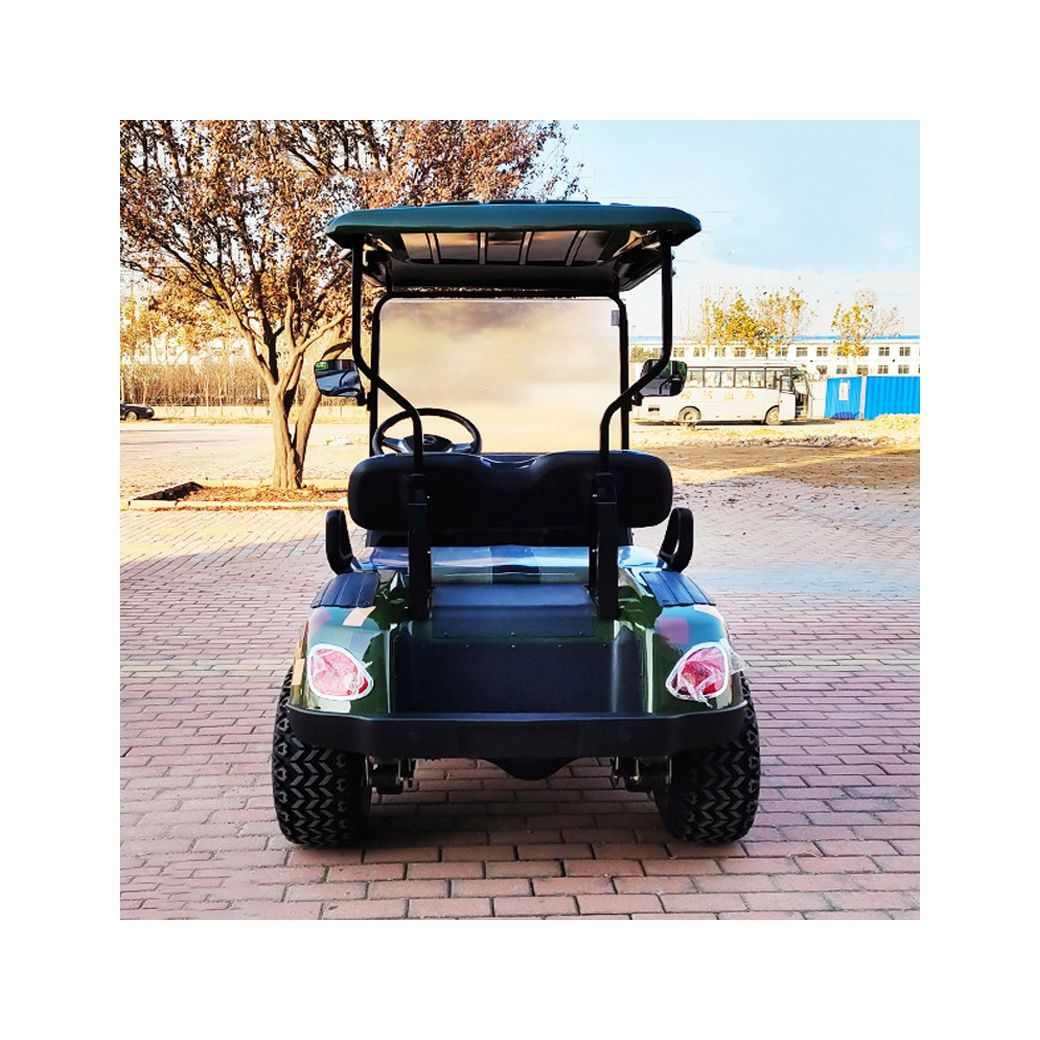 New Design Two-Seater Mini Passenger Golf Cart with Sunshade 70-90km Range CE Certified