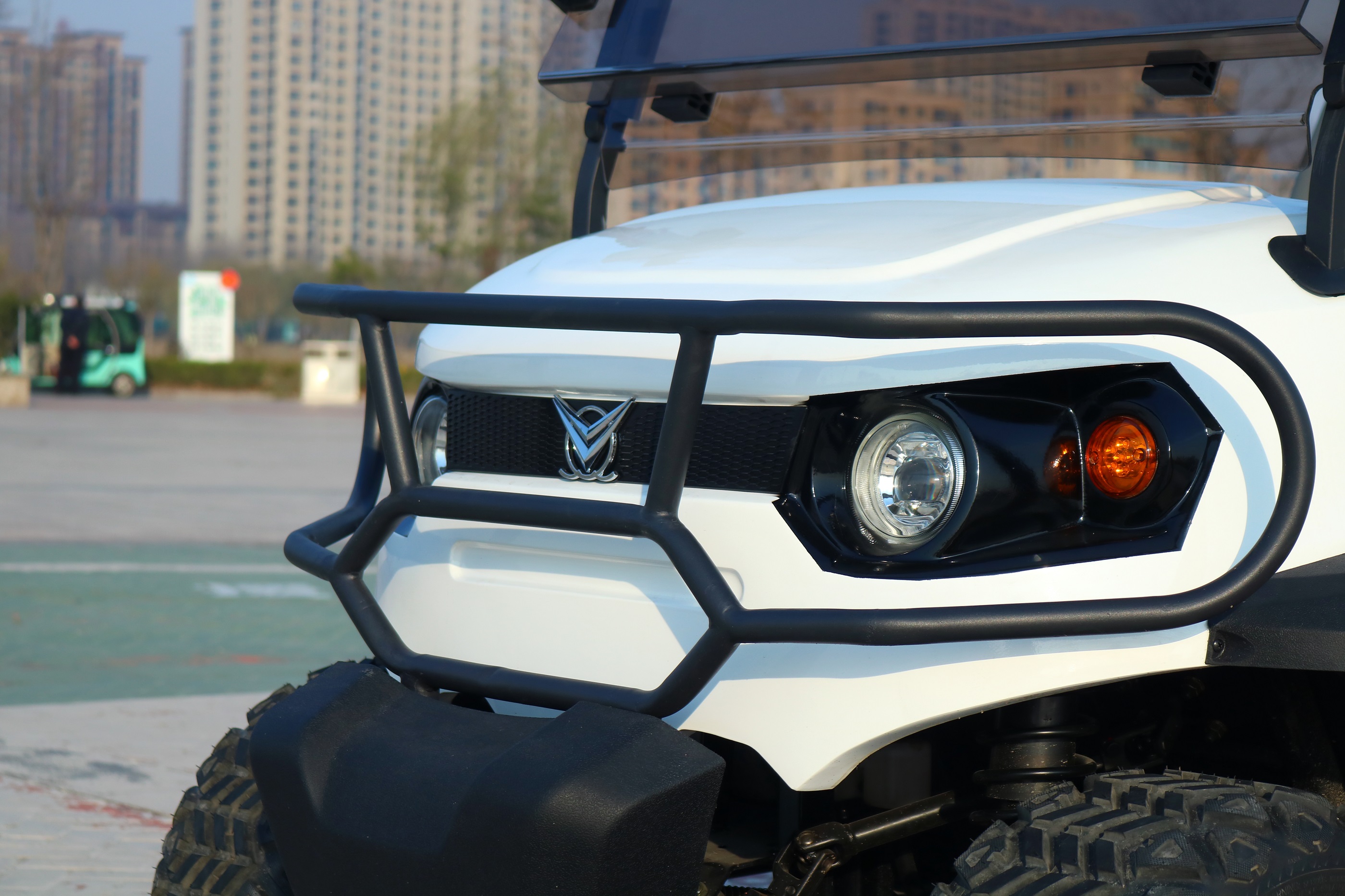Cheap Chinese Electric Utility Golf Cart Mini Hunting Luxury off Road 3.5KW 60V 80-90km Range 3-4 Seats