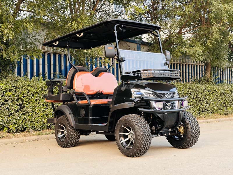 High Performance Golf Carts Electric 6 Seat 110v-240v Electric Golf Cart