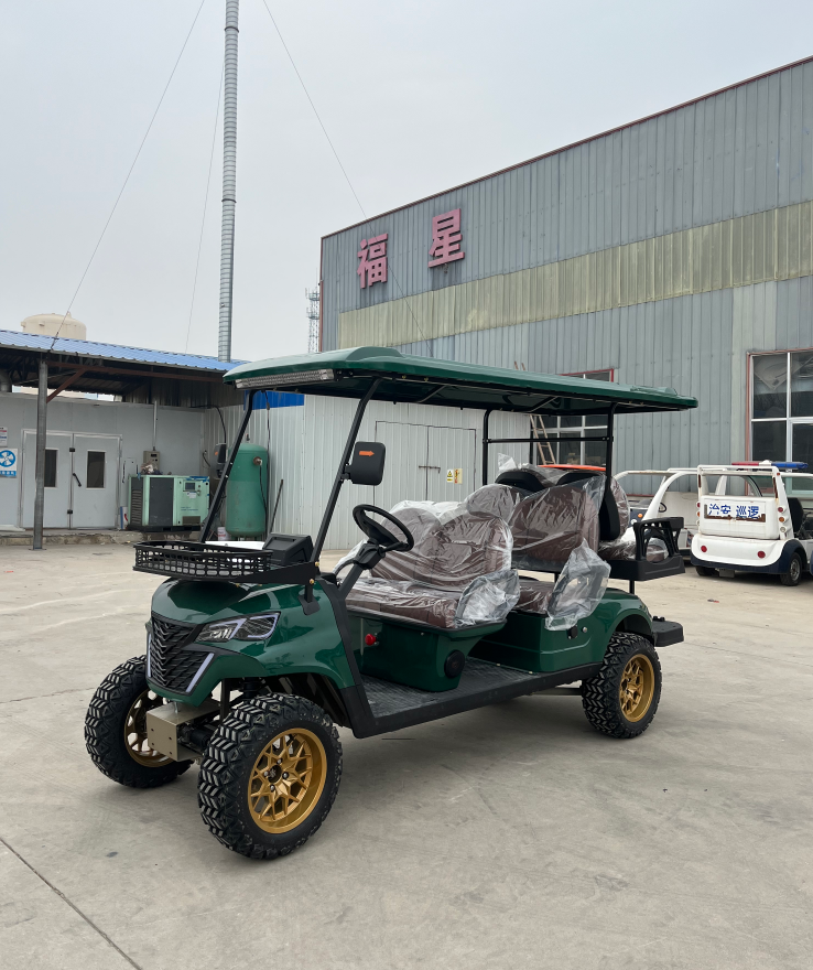 WELIFTRICH Supplier Utility Club 4 Wheel Drive Buggy Car 2+2 Seats Golf Carts Electric With Folded Back Seat