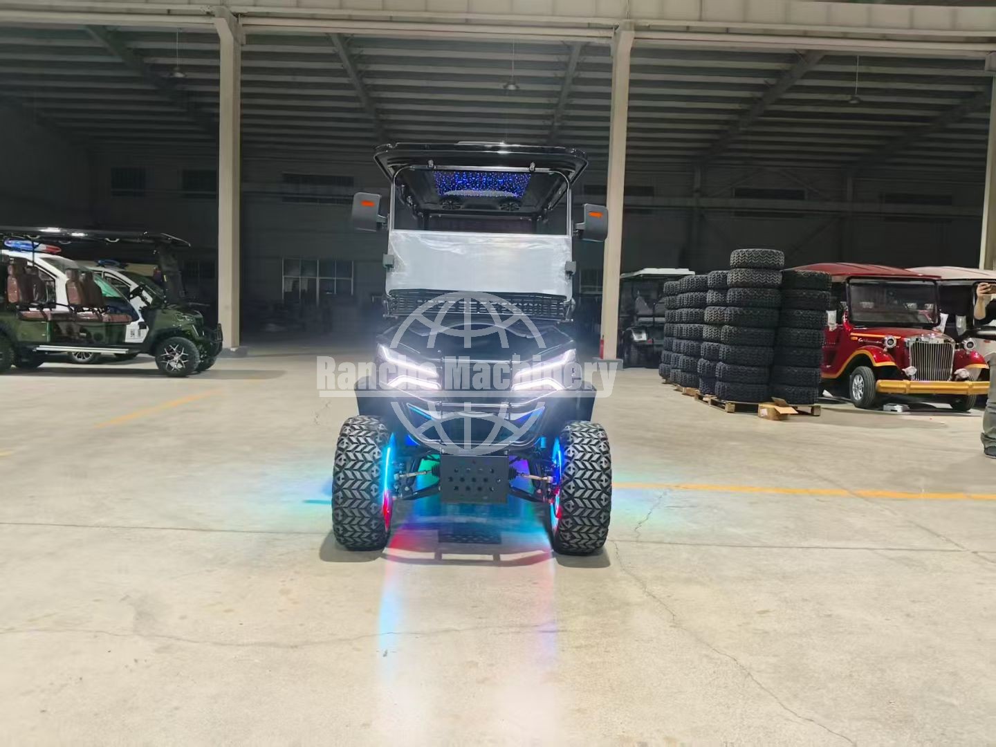 Purple 3-4 Seater Electric Off-Road Hunting Golf Cart with 4/5/7.5kW Power Supply and 70-90km Range