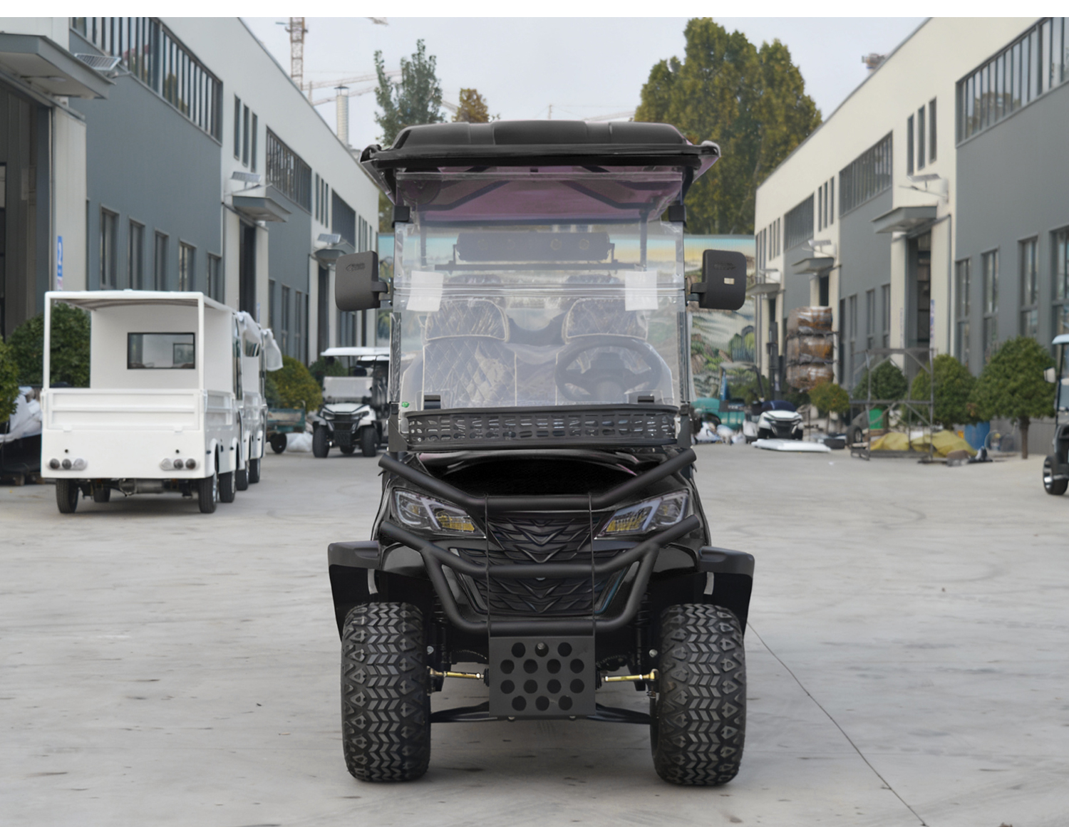 Custom golf cart design