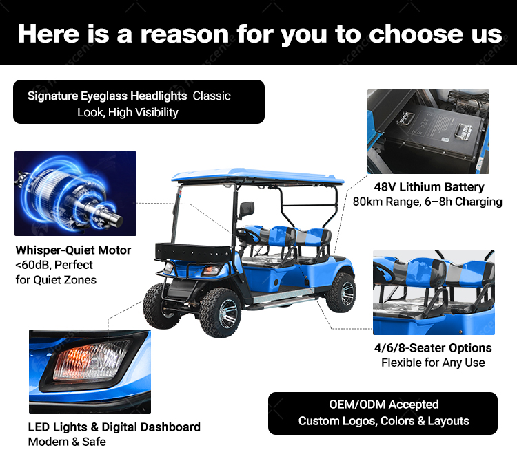 Electric Golf Cart Details