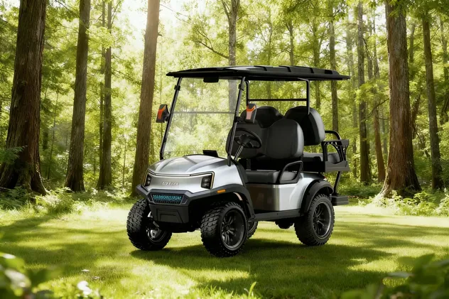 Custom Golf Cart Detail 2