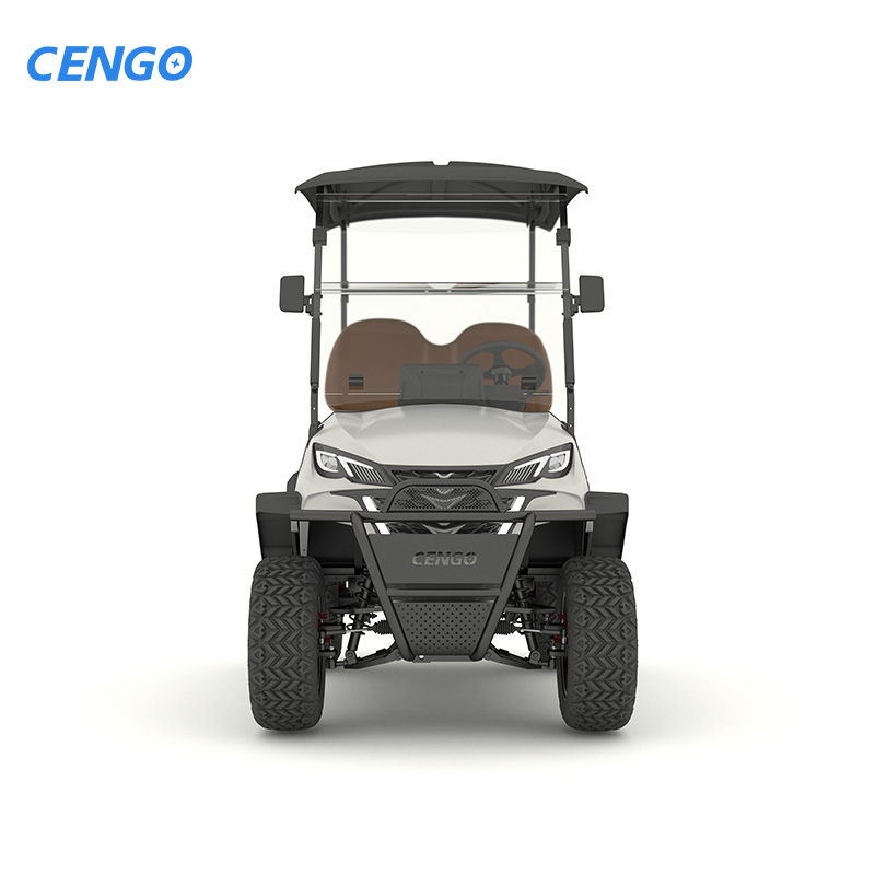 Customizable 2-seat Passenger Electric Golf Cart with a Range of 95 Kilometers, 48V Electric Golf Hunting Car