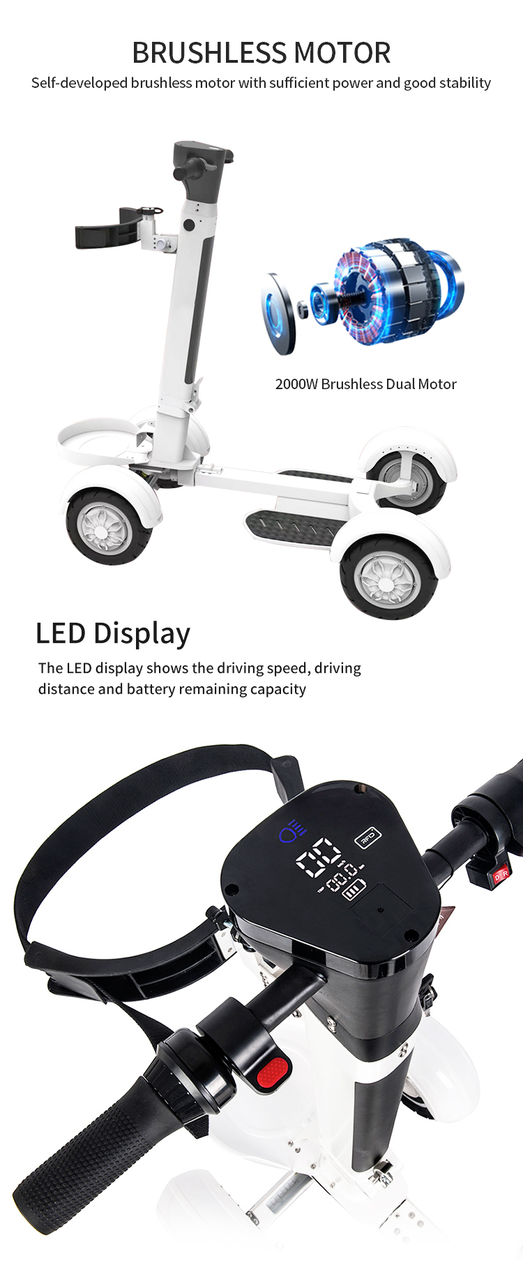 Electric Golf Scooter