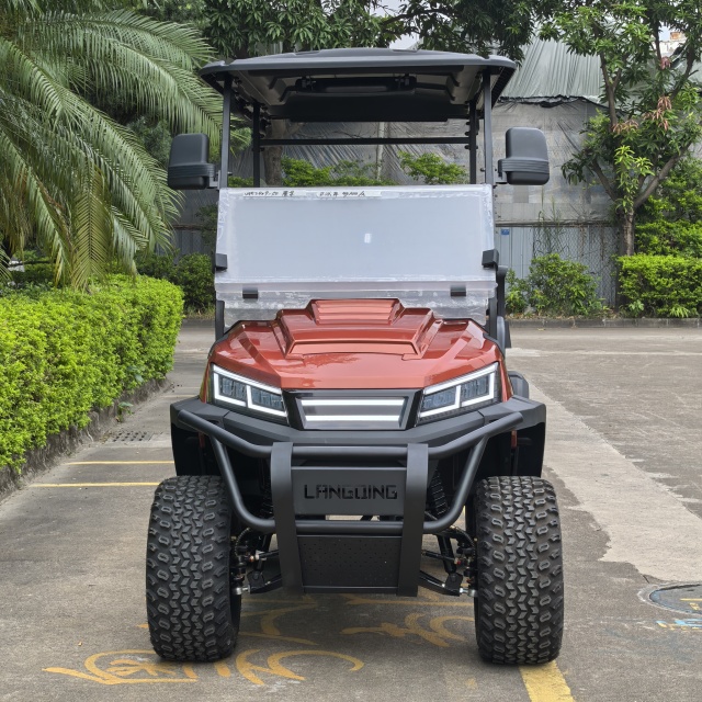 Golf Cart Detail View 2